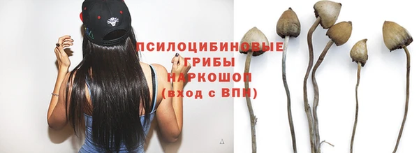 соль курить ск Вяземский