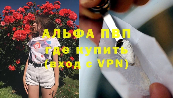 ешки Вязьма