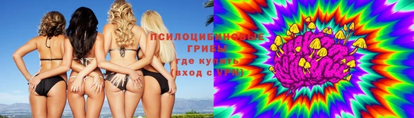 ешки Вязьма